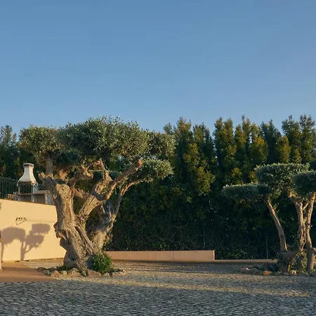 Villa Monte Das Oliveiras Lux - 600m From The Beach - Swimming Pool - Wi Fi - Aircon *
