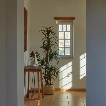 Monte Das Oliveiras Lux - 600m From The Beach - Swimming Pool - Wi Fi - Aircon וילה